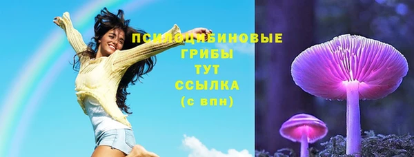 ГАЛЛЮЦИНОГЕННЫЕ ГРИБЫ Козельск