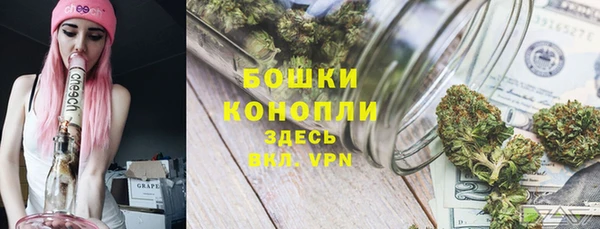 ГАЛЛЮЦИНОГЕННЫЕ ГРИБЫ Козельск