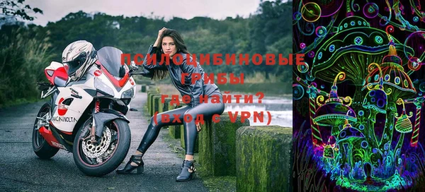 ГАЛЛЮЦИНОГЕННЫЕ ГРИБЫ Козельск
