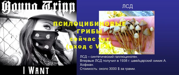 метамфетамин Козловка