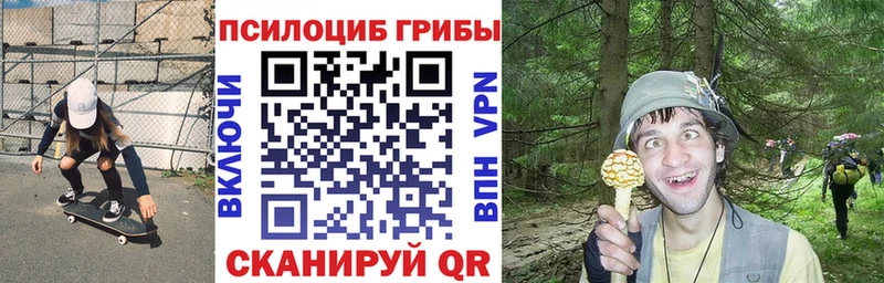 Купить закладки  Нытва  Галлюциногенные грибы мухоморы 
